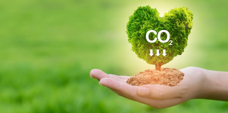 Imagem ilustrando como funcionaria um modelo de sequestro de carbono